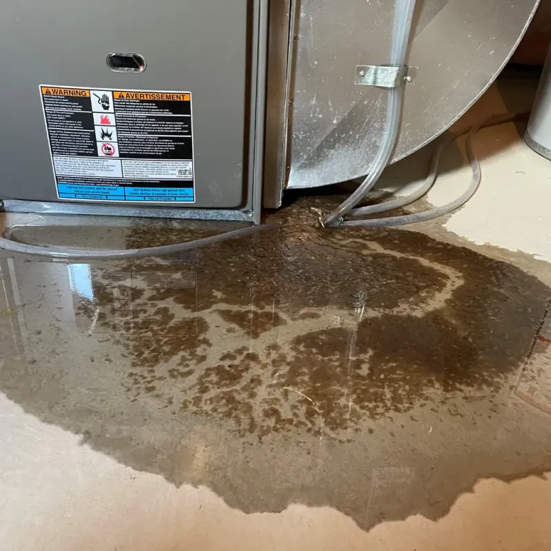 Appliance Leak Cleanup in Burkesville, KY
