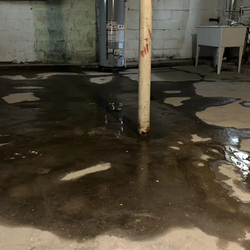 Emergency Water Extraction And Removal in Burkesville, KY